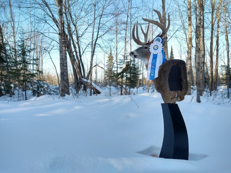 Whitetail Deer Pedestal with ribbons in snowy forest