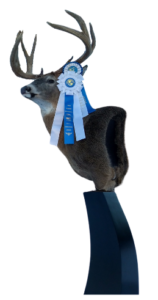 Whitetail Deer Pedestal Mount with Ribbons and awards