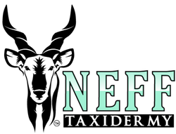 Neff Taxidermy Logo
