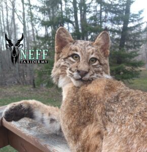 20230509_165333_0000