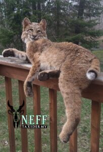 20230509_165448_0000