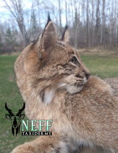 20230509_165556_0000