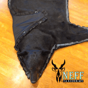 Bear Rug 1