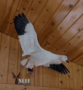 1_20250701_070806_0000