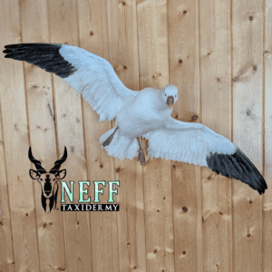 20250120_151003_0000