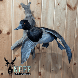 20250127_195419_0000