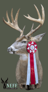 20250415_194610_0000