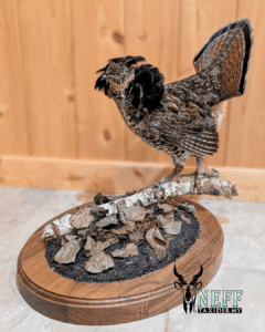 20250914_194209_0000