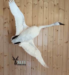 2_20250701_070806_0001