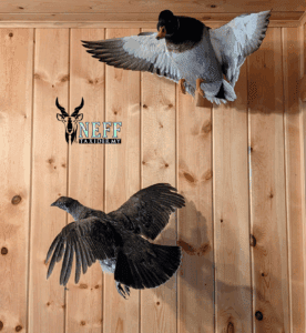 3_20250701_070806_0002