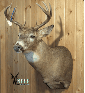 5_20250701_070806_0004