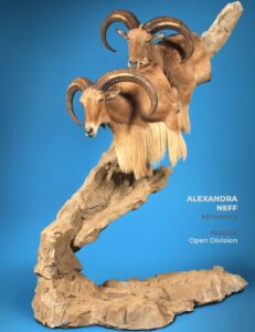 FB_IMG_1708099512892